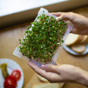 Seed sprouter tray + radish seeds BIOOGROD 745748
