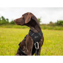 Suņu iemaukti, regulējami, atstarojoši, R743106, MOUNTAIN PAWS