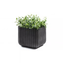 Vazonas Keter Cube Planter S pilkas 29202066939 29,5x29,5x29,7cm