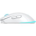 Baracuda Pele TURTLE-W BGM-122, 3200 DPI, 6 pogas, 95 g, bezvadu, RF 2.4 GHz, apgaismojums
