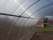 Šiltnamis KLASIKA TUBE 3x10m (30m2) su pamatais ir 6mm polikarbonato danga; 4779037492510
