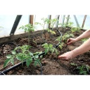 Niisutuss&uuml;steem KLASIKA SPIDER 4 (r&otilde;huga) 18L