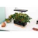 Rainpoint Hidroponikas audzē&scaron;anas komplekts Z238 (koka pamatne), 5L, 150&plusmn;10% L/h, 12V, 1.8kg, 13 stādī&scaron;anas grozi