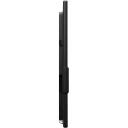 Dell LCD monitorius P5525QC 210-BNTN, 55", 3840 x 2160, 400 cd/m&sup2;, 60 Hz, 8 ms, 2 x HDMI, 2 x DP, 90 W USB-C