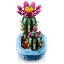Lego BOTANICALS 11509 Ziedo&scaron;s kaktuss, 482 elementu, 9+ gadi, instrukcijas lapa