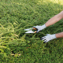 Tehniskās cimdi, hypro, KRTT005XXL, universāla izmēra 11