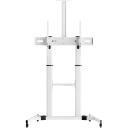 Sbox TV statīvs FS-3610-W, 60&ndash;100'' (152&ndash;254 cm), 100kg, VESA 200x200 &ndash; 1000x600, balts