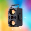 Manta Karaoke k&otilde;lar SPK8170000001, 16W, 10h, FM raadio, Bluetooth, USB-C, MicroSD, juhtmega mikrofon, kaugjuhtimispult