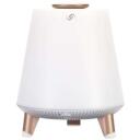 Blaupunkt Bluetooth garsiakalbis BT25LAMP, 10W, 3.5mm AUX, 10m, LED ap&scaron;vietimas, belaidis, MP3, laisvų rankų funkcija