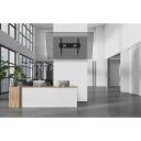 Neomounts WL35-750BL18 seinakinnitus 55-98" 125 kg, VESA 100x100-800x600 mm, kaldenurk -15&deg; kuni 15&deg;, must