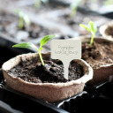 Plastikust taimesildid BIOOGROD 720901 30 tk. + pliiats