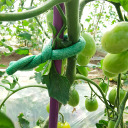 Foam-Coated Garden Wire, Green, 10 m, Ø 10 mm BIOOGROD 722504