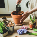 Aktiivsüsi kookospähklist taimedele 0.9 L BIOOGROD 749902