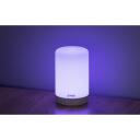 Gosund nutikas valgusl&uuml;liti LB3_, 110mm, 110mm, 225mm, 100lm, 5W, RGB v&auml;rv, IP20, &ouml;&ouml;lamp, integreeritud LED pirn