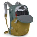 Mugursoma Nebula, Green Tunnel/Brindle Brown, 0843820166095 Osprey