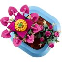 Lego BOTANICALS 11509 Ziedo&scaron;s kaktuss, 482 elementu, 9+ gadi, instrukcijas lapa
