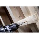 Bosch bitikomplekt 2607012081, 50 tk, 25 Torx, 5 soon, 8 Phillips, 8 Pozidriv, magnetiline kruvikeeraja k&auml;epide