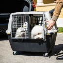 Sisemine jaotuspaneel transpordipuurile Gulliver Touring must 2196342 STEFANPLAST