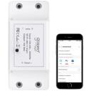 Gosund Smart Switch WiFi SW3, 10A, PC V0, TuyaSmart, Amazon Alexa, Google Home, Taimer/Planeerimine