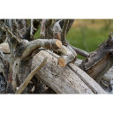 Stieples zāģis, viegls un izturīgs, R680300, Origin Outdoors