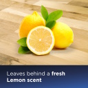 Medinių grindų valymo priemonė Wood Floor Formula 1000 ml 1 vnt 1788L Bissell