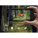 Āra viedā 8 MP 4G LTE āra novērošanas kamera ar kustības izsekošanu un krāsu nakts redzamību Balta Camovue Talon S130 CBS4G8MP011 Reolink