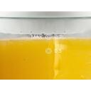 Beper Mahlapress BP.101H, 25W, ABS, kaks koni, automaatne tagasuunamine, viljaliha filter