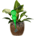 Trīskār&scaron;s laistī&scaron;anas globuss, BIOOGROD, 720992, caurspīdīgs zaļ&scaron;, 600 ml