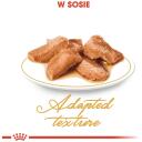 Royal Canin FBN Maine Coon, RC POS musthave, 12x85g, 10% olb., 4.3% tauku, 1.6% &scaron;ķiedrv., 78% mitrums, vistas gar&scaron;a, svars 1-1.9kg