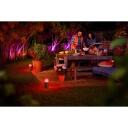 Philips Hue Lily āra gaismeklis 8718696167960, 3x8W, 24V, 600lm, 2000-6500K, melns, matēts