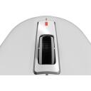 Genesis spēļu pele Krypton 660 NMG-2190, 12000 dpi, 6 pogas, RGB, USB Type-A, optiskais sensors, mehāniskie slēdži