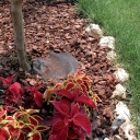 Lausriie multšimiseks (geotekstiil) FULL COVER 0,9x5 m 73304059