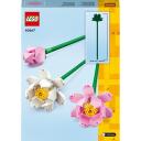 Lego Botanicals 40647, 220 vnt., plastikas, vidutinio dydžio, 8 metai