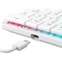 White Shark Klaviatūra NAGAMAKI-W-US-RED.SW, 29.2cm, 10.3cm, 2.5cm, 0.32kg, USB-C, RGB apgaismojums, 62 taustiņi