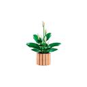 Lego BOTANICALS 11504 Miera lilija, 474, 18+, instrukcijas lapa