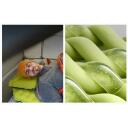 Flextail Tiny Pillow Inflatable Cushion -GR, 77g, 9.5x&Oslash;6cm, 38.5x25.5cm, 20D neilons, automātiskā uzpū&scaron;ana