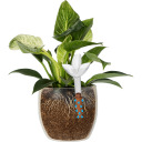 Plant irrigator - leaf transparent with ceramic spike, 120 ml BIOOGROD 720988, 8.8x6x20 cm, 37 g