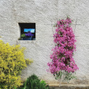 Augalų atrama - Sodo grotelės 150 x 75 cm BIOOGROD 721423, plienas, juoda