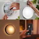 Philips Hue Āra sienas lampa Daylo 8718696174418, 15 W, 2000-6500 K, IP44, LED, 1060 lm, Dimmable