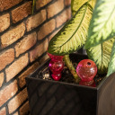 Trīskār&scaron;s laistī&scaron;anas globuss, BIOOGROD, 720995, caurspīdīgs rozā, 600 ml