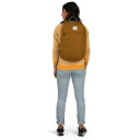 Mugursoma Arcane Large Day, Alium Red/Brindle Brown, 0843820166996 Osprey