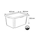 Kaanega karp 24L Karolina "Winnie the Pooh" 42,5x35,5x22,5cm läbipaistev 0612237001238 Keeeper