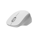 Belaidė pelė 2.4 GHz su optiniu jutikliu iki 1200 DPI Wireless Mouse Comfort Edition 111.2&times;74.5&times;40.6 mm ~62 g 2.4 GHz nano imtuvas BHR9354GL Balta Xiaomi