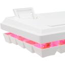 Baracuda DOLPHIN-W-RED BGK-03211, 61 taustiņi, USB, mehāniski sarkanie slēdži, apgaismojums