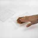 Seed sprouter tray + radish seeds BIOOGROD 745748