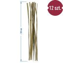 Bison grass - Hierochloe odorata, 12 vnt. 4L BROWIN 405050, 4.3x0.2x25.5 cm