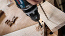 Urbjma&scaron;īnām/skrūvgriežiem PRO WOOD SPIRĀLURBIS BOSCH 2608597206