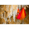 Šūpuļtīkls ADVENTURE HAMMOCK, Fire AZ-1030412 AMAZONAS