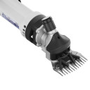 Avių vilnos kirpimo mašina, G81214 GEKO