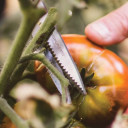 Žirklės SOLID SP240; 1063327 FISCAR